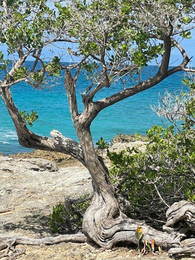 Côté Plage Saint-Francois  Extérieur photo